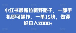小红书最新拉新野路子,一部手机即可操作,一单15块,做得好日入2000+【揭秘】-网赚36计