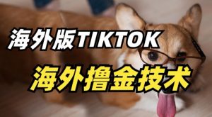 抖音海外版tiktok撸金技术，这个风口行业，赚钱真的不难【揭秘】-网赚36计