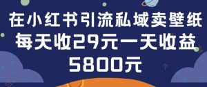 在小红书引流私域卖壁纸每张29元单日最高卖出200张(0-1搭建教程)【揭秘】-网赚36计