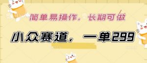 小众赛道，一单299.简单易操作，长期可做【揭秘】-网赚36计