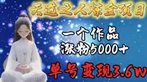 天选之人炼金项目，一个作品涨粉5000+，单号变现3.6w【揭秘】-网赚36计