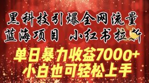 蓝海项目!黑科技引爆全网流量小红书拉新，单日暴力收益7000+，小白也能轻松上手【揭秘】-网赚36计
