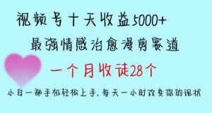 十天收益5000+，多平台捞金，视频号情感治愈漫剪，一个月收徒28个，小白一部手机轻松上手【揭秘】-网赚36计