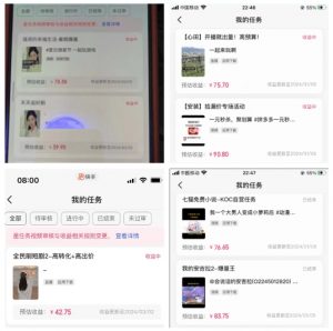 2024年3月最新,快手磁力聚星全流程实操教学,8台手机日均收益稳定100~200元【揭秘】-网赚36计