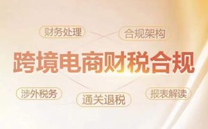 跨境老板财税合规特训营,规避财税风险、提升企业利润-网赚36计