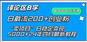 抖音评论区8字日截流200+创业粉 “卖项目”日稳定变现5000+【揭秘】-网赚36计