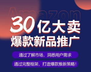 亚马逊·30亿大卖爆款新品推广，可复制、全程案例实操的爆款推新SOP-网赚36计