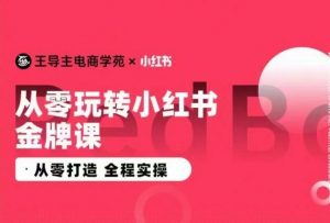 王导主·小红书电商运营实操课,从零打造 全程实操-网赚36计