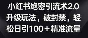 小红书绝密引流术2.0升级玩法，破封禁，轻松日引100+精准流量【揭秘】-网赚36计