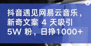 抖音遇见网易云音乐，新奇文案 4 天吸引 5W 粉，日挣1000+【揭秘】-网赚36计