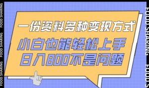 一份资料多种变现方式，小白也能轻松上手，日入800不是问题【揭秘】-网赚36计