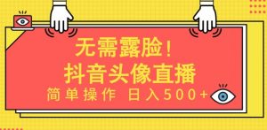 无需露脸，Ai头像直播项目，简单操作日入500+【揭秘】-网赚36计
