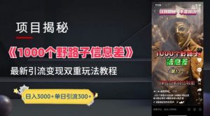 一千个野路子信息差最新玩法教程-变现+引流的玩法具体拆解【揭秘】-网赚36计