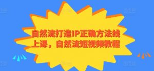 自然流打造IP正确方法线上课,自然流短视频教程-网赚36计