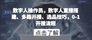 数字人操作员，数字人直播搭建、多路开播、选品技巧，0-1开播流程-网赚36计
