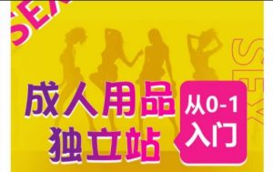 成人用品独立站从0-1入门，成品独立站运营全流程教学，七大好卖成品独立站推荐-网赚36计