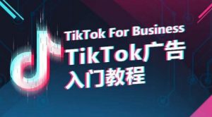 TikTok广告入门教程,从0到1掌握TikTok投放的全流程-网赚36计