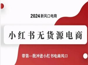 2024新风口电商,小红书无货源电商,带第一批冲进小红书电商风口-网赚36计