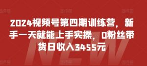 2024视频号第四期训练营,新手一天就能上手实操,0粉丝带货日收入3455元-网赚36计