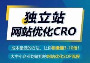 独立站网站优化CRO,成本最低的方法,让你销量翻3-10倍-网赚36计
