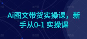 Ai图文带货实操课，新手从0-1 实操课-网赚36计