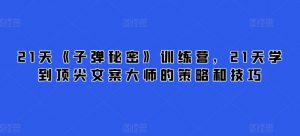 21天《子弹秘密》训练营,21天学到顶尖文案大师的策略和技巧-网赚36计