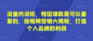 流量内训班,相信爆款是可以重复的,短视频营销大揭秘,打造个人品牌的利器-网赚36计
