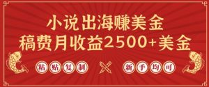 小说出海赚美金，稿费月收益2500+美金，仅需chatgpt粘贴复制，新手也能玩转【揭秘】-网赚36计