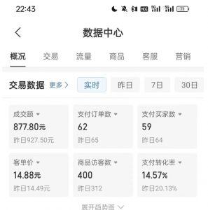 拼多多虚拟U盘电商红利项目：月赚2万+，新手小白也能玩-网赚36计
