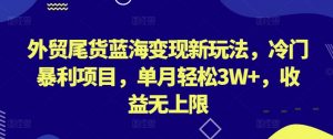 外贸尾货蓝海变现新玩法,冷门暴利项目,单月轻松3W+,收益无上限【揭秘】-网赚36计
