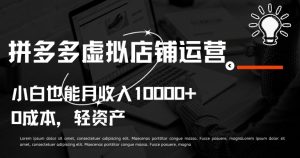 拼多多虚拟店铺运营小白也能月收入10000+【揭秘】-网赚36计