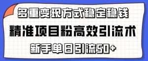 精准项目粉高效引流术，新手单日引流50+，多重变现方式稳定赚钱【揭秘】-网赚36计