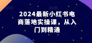 2024最新小红书电商落地实操课,从入门到精通-网赚36计