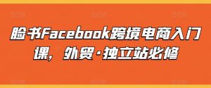 脸书Facebook跨境电商入门课，外贸·独立站必修-网赚36计