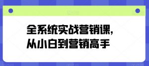 全系统实战营销课,从小白到营销高手-网赚36计