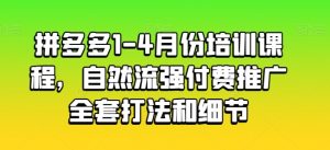 拼多多1-4月份培训课程，自然流强付费推广全套打法和细节-网赚36计