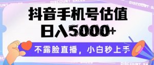 抖音手机号估值，日入5000+，不露脸直播，小白秒上手【揭秘】-网赚36计