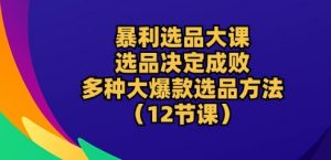 暴利选品大课:选品决定成败,教你多种大爆款选品方法(12节课)-网赚36计