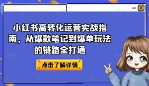 小红书高转化运营实战指南,从爆款笔记到爆单玩法的链路全打通-网赚36计
