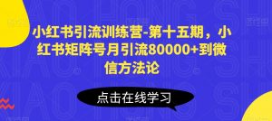小红书引流训练营-第十五期,小红书矩阵号月引流80000+到微信方法论-网赚36计