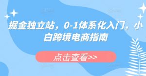 掘金独立站,0-1体系化入门,小白跨境电商指南-网赚36计