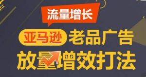 亚马逊流量增长-老品广告放量增效打法,循序渐进,打造更多TOP listing-网赚36计