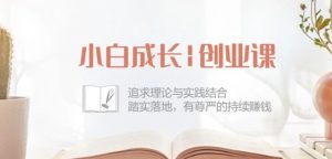 小白成长创业课:追求理论与实践结合,踏实落地,有尊严的持续赚钱-42节-网赚36计