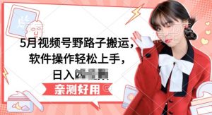 5月视频号野路子搬运，软件操作轻松上手，日入三位数【揭秘】-网赚36计