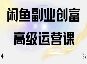 闲鱼电商运营高级课程，一部手机学会闲鱼开店赚钱-网赚36计