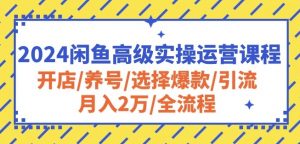 2024闲鱼高级实操运营课程:开店/养号/选择爆款/引流/月入2万/全流程-网赚36计