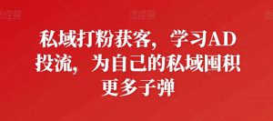 私域打粉获客,学习AD投流,为自己的私域囤积更多子弹-网赚36计