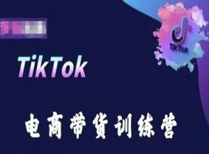 TikTok电商带货训练营，跟随时代潮流，跨境掘金-网赚36计