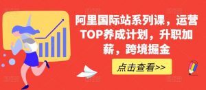 阿里国际站系列课，运营TOP养成计划，升职加薪，跨境掘金-网赚36计