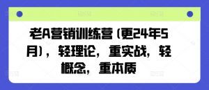 老A营销训练营(更24年5月)，轻理论，重实战，轻概念，重本质-网赚36计